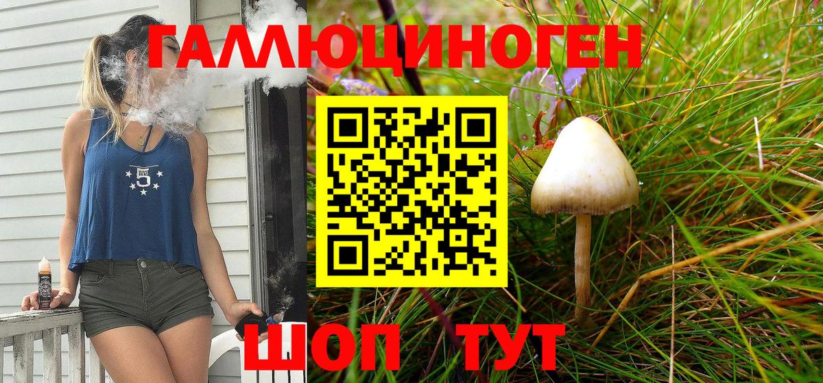 Псилоцибиновые грибы ЛСД Аргун