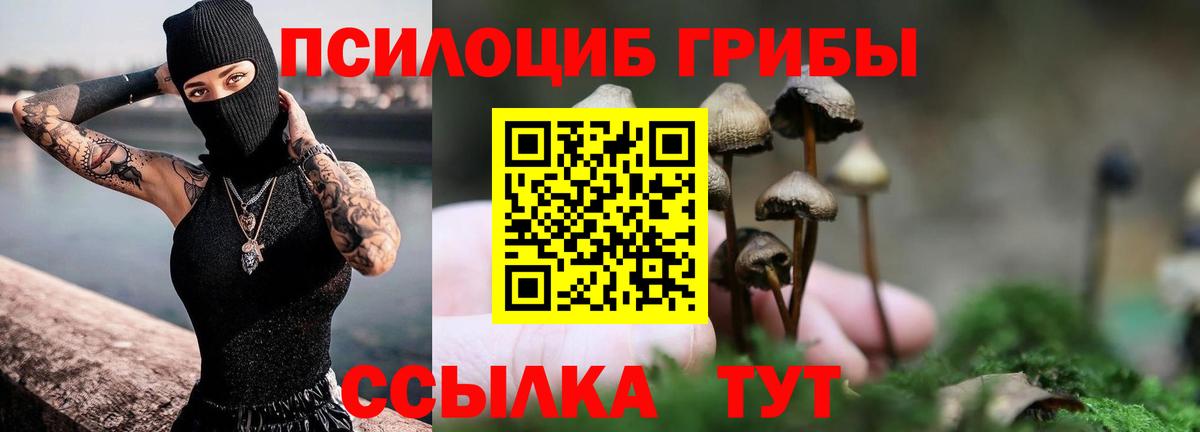 Галлюциногенные грибы мицелий  Вход с VPN  Аргун  Псилоцибиновые грибы GOLDEN TEACHER 